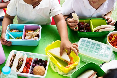 Alimentação e Nutrição Escolar