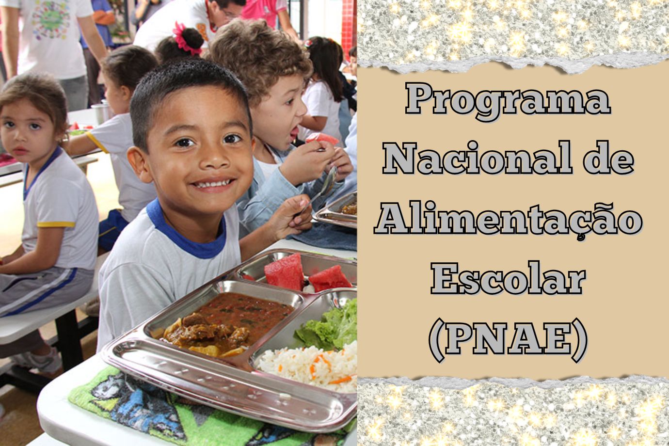 Programa Nacional de Alimentação Escolar (PNAE)