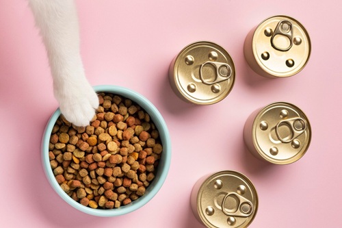 Alimentação Saudável para Cães e Gatos