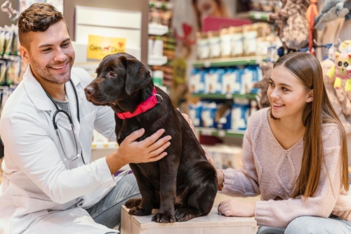 Atendimento ao Cliente para Pet Shop
