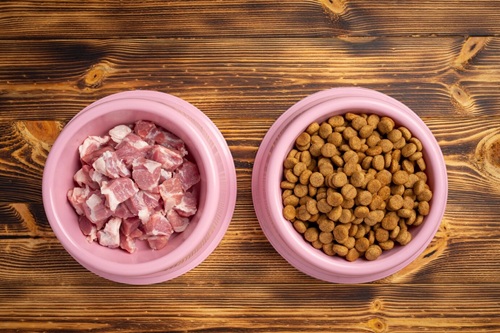 Nutrição de Cães e Gatos