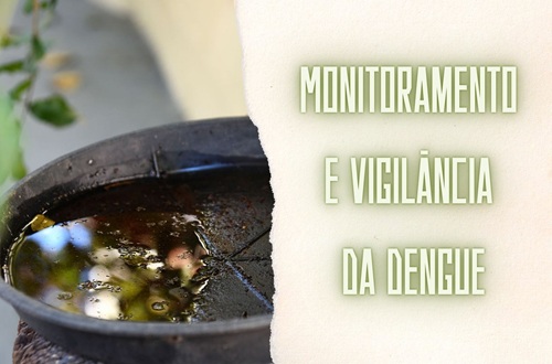 Prevenção e Combate da Dengue