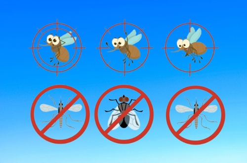 Controle e Manejo de Mosquitos Vetores