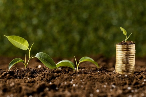 Bioeconomia