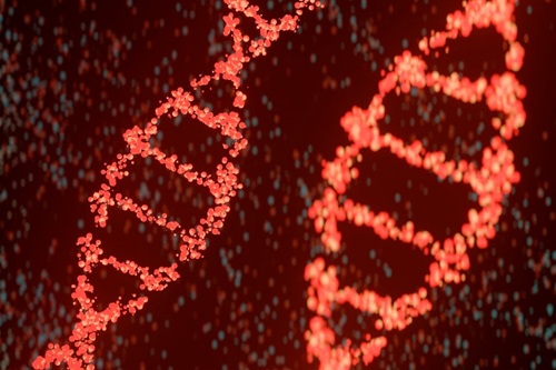 Genética Forense