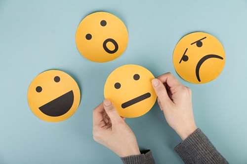 Terapia Focada nas Emoções (TFE)