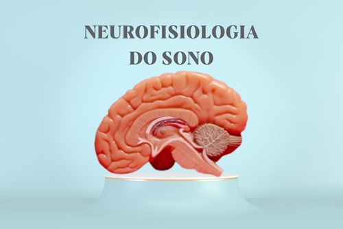 Neurofisiologia do Sono