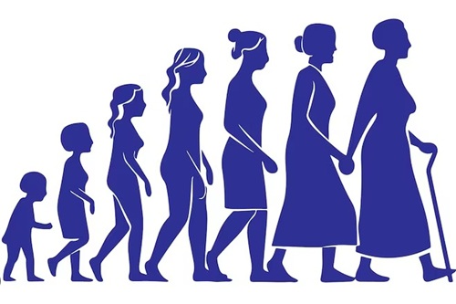 Desenvolvimento Humano