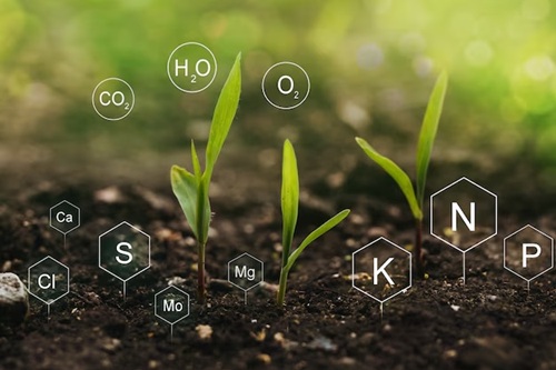Microbiologia Agrícola
