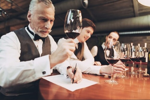 Degustação de Vinho Profissional