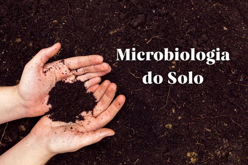 Microbiologia do Solo
