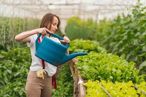 Agricultura Biológica