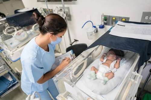 Berçarista Hospitalar
