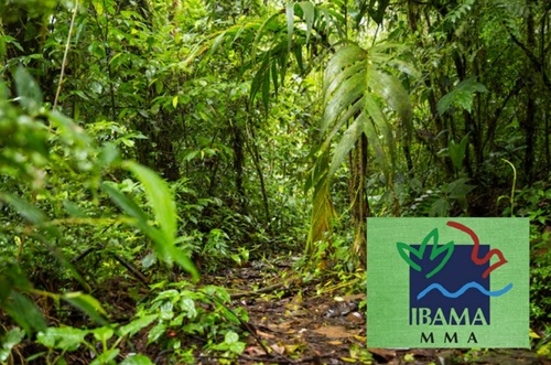 IBAMA